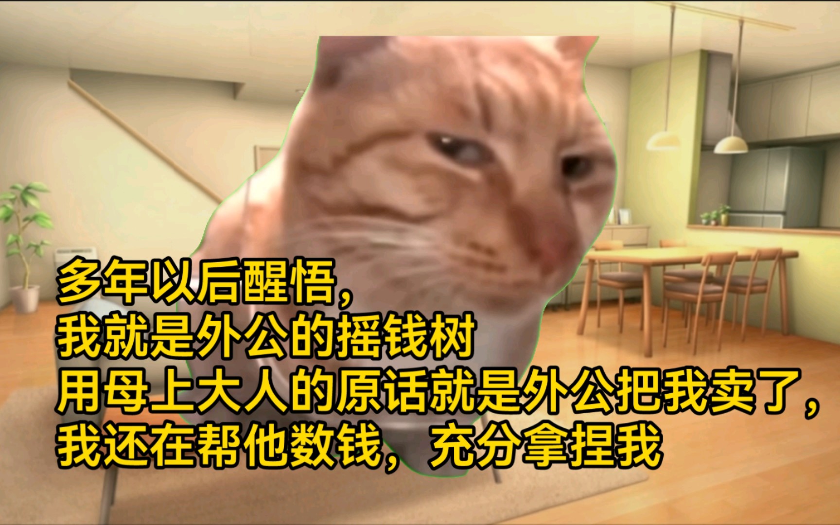 【猫meme】被外公拿捏的童年