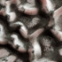 航拍火星 | NASA火星侦察轨道飞行器上的HiRISE相机拍摄的高分辨率火星照片