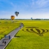 【世界节日旅行】台湾稻间美径热气球嘉年华 - 迷人的稻间田园风光