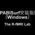 DPABISurf安装指南（Windows）（新版）