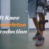 A.I.R Exoskeleton | 自适应交互型 柔性可穿戴 机械外穿骨骼