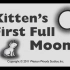 【3-6岁英语】【经典绘本】Kittens First Full Moon 【动画绘本】【语速慢】