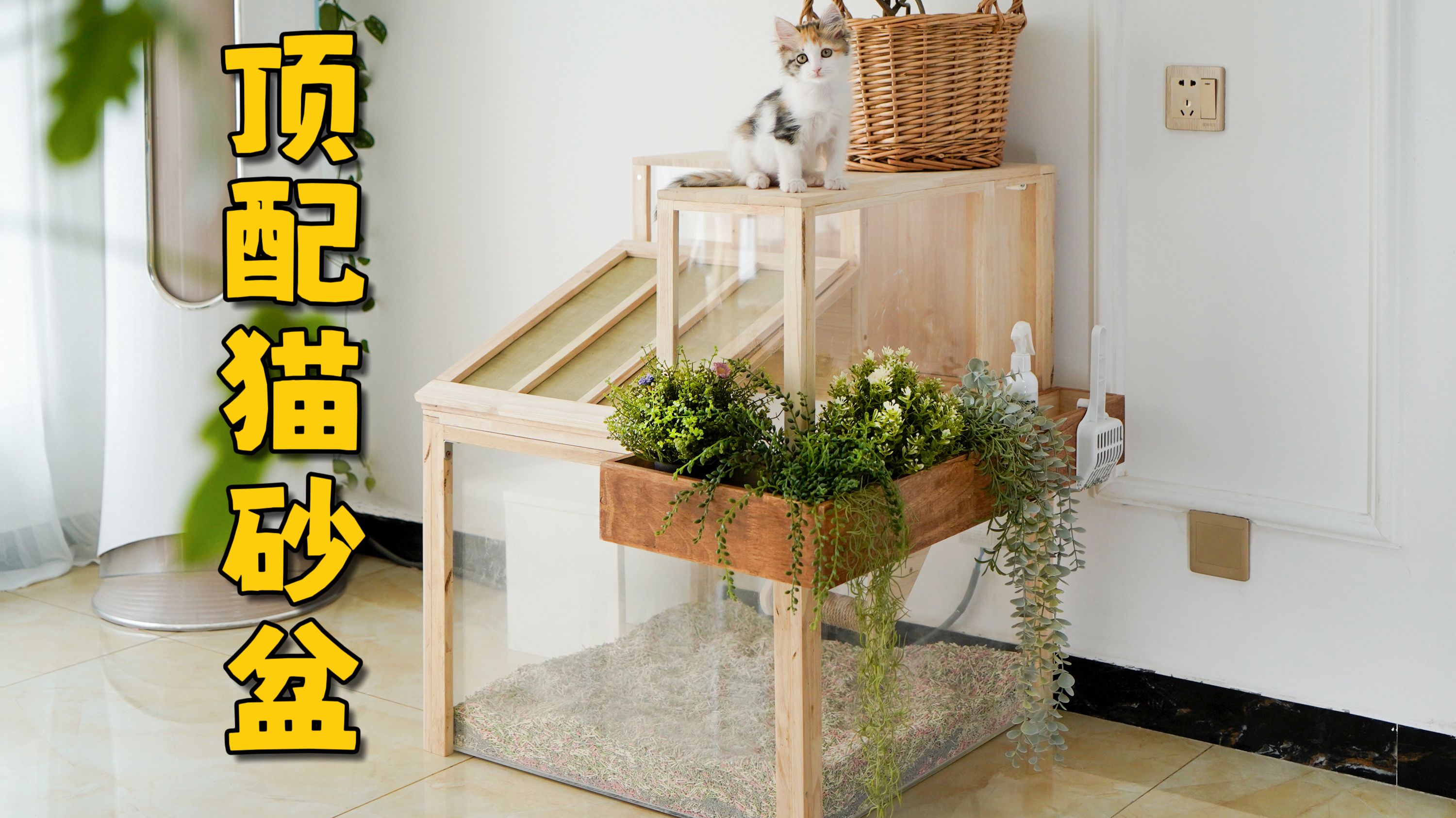 给猫咪们做了一个永远不会带出猫砂的豪华猫砂盆