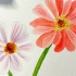零基础水彩花卉，适合水彩新手画的花儿（也不知道叫什么名字，路上看到的）喜欢就一起画吧