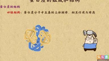 《9》<em class="keyword">蛋白质</em>的<em class="keyword">结构</em>和性质