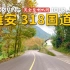 雅安318国道驾车之旅，天全至大熊猫国家公园喇叭河｜4K超清风光行车