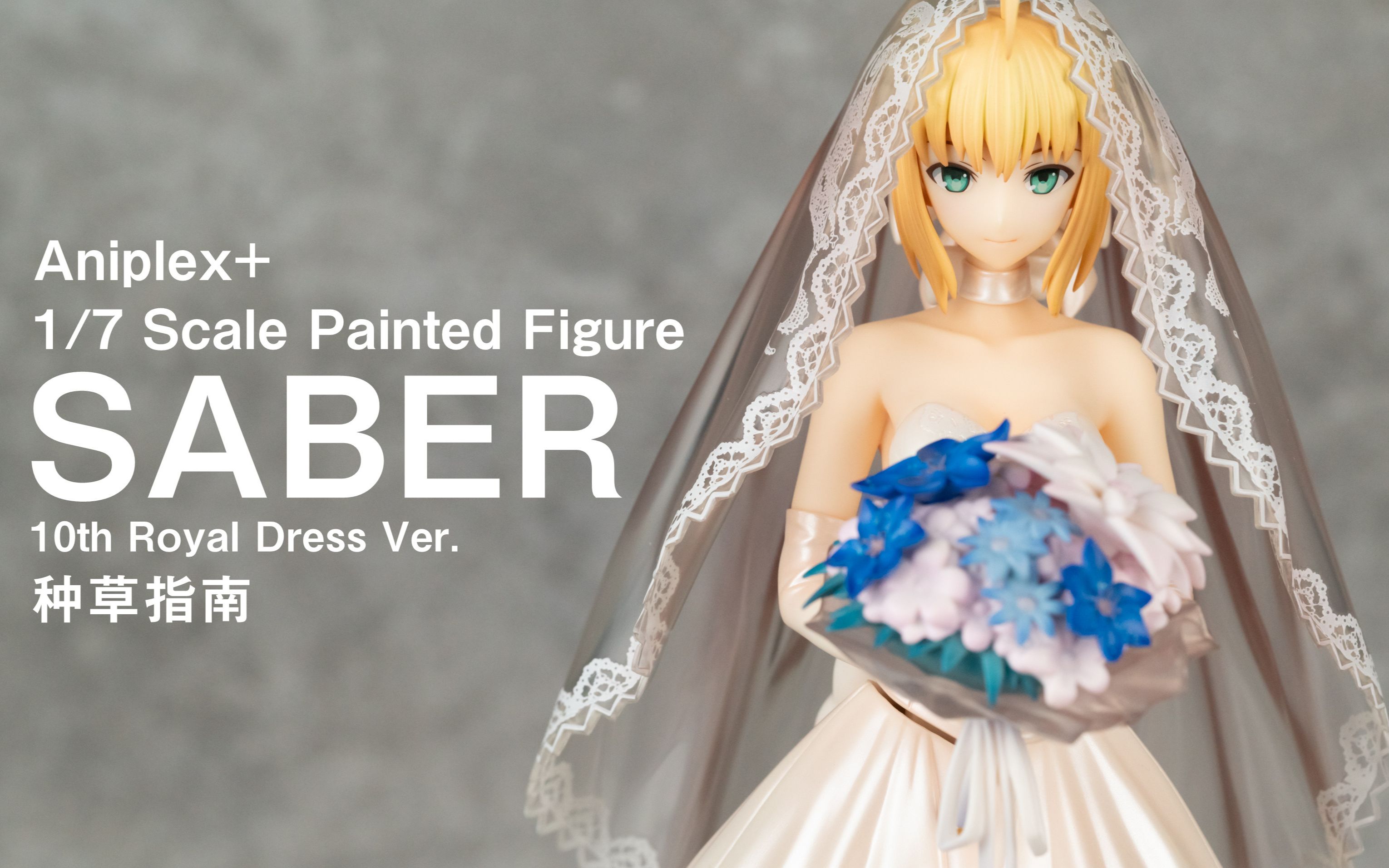 种草指南aniplexsaber十周年皇家礼服ver
