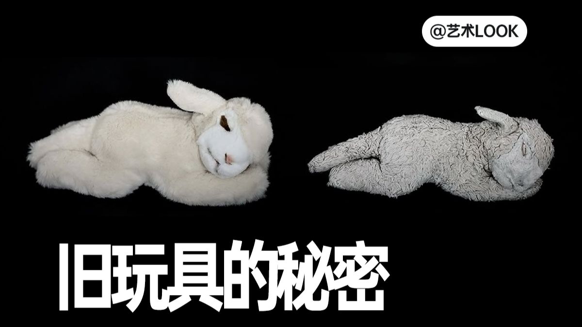 她花十年拍摄玩具，发现泪目的真相！