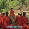 佛陀：佛说放下保持中正，证悟禅悦！-影视综视频-搜狐视频