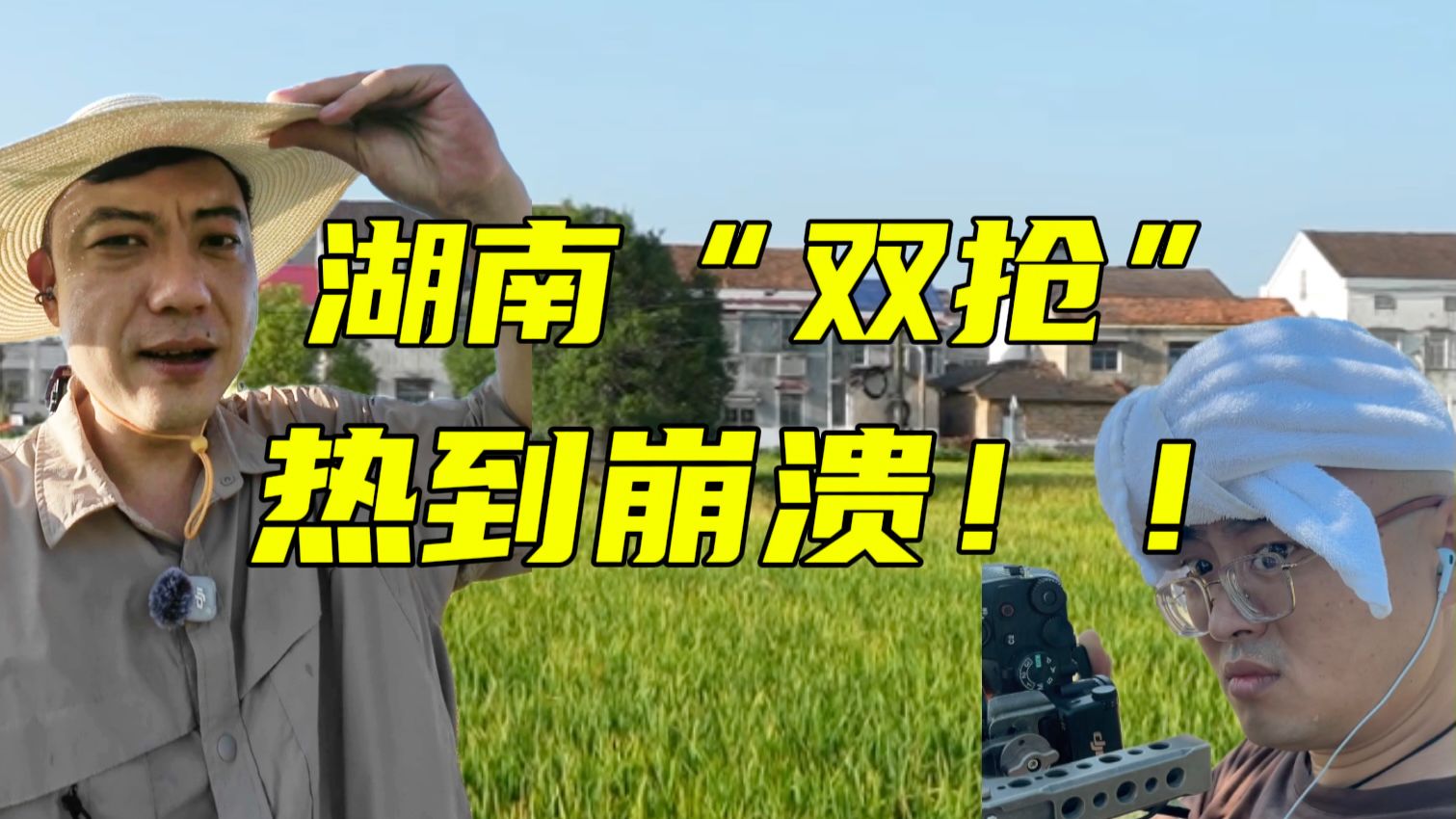 南方人小时候噩梦：水稻双抢！现在好像没那么“抢”了？！#田间地头看变化#