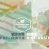 【中字】接骨木花琥珀糖 Elderflower Kohakuto