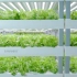 中科三安植物工厂，智慧农业，无土栽培，为复杂室内园艺提供简单解决方案