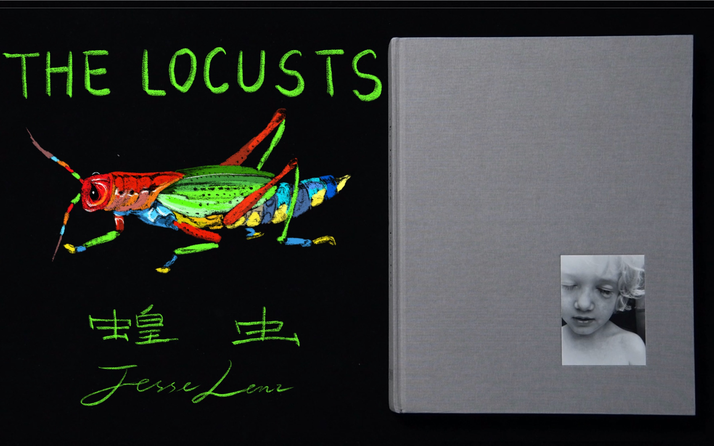 The Locusts「蝗虫」Jesse Lenz「杰西ⷤ𜦨Œ裀摄影画册翻书视频哔哩哔哩bilibili