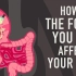 【TED科普】你所吃的食物，如何影响肠道？（中英字幕）