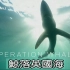【纪录片】鲸落英国海（2集全）【中文字幕】