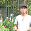 露台天台养花，最致命缺陷，台风，大型植物吹倒小盆栽吹飞