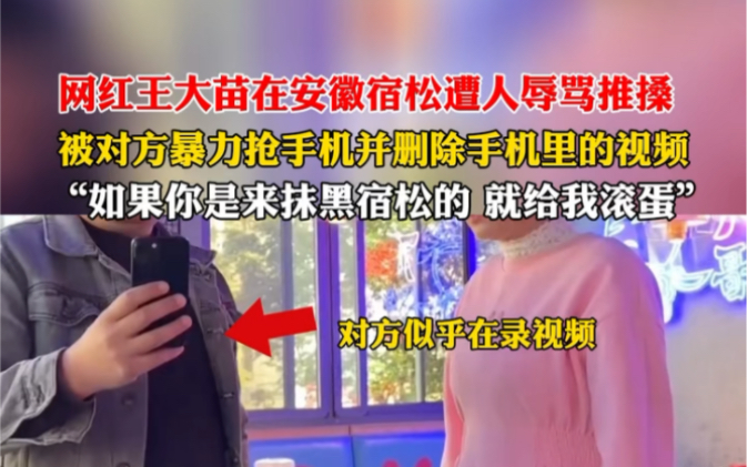 网红王大苗在安徽宿松遭人辱骂推搡,被对方暴力抢手机并删除手机里的视频.“如果你是来抹黑宿松的,就给我滚蛋!”哔哩哔哩bilibili