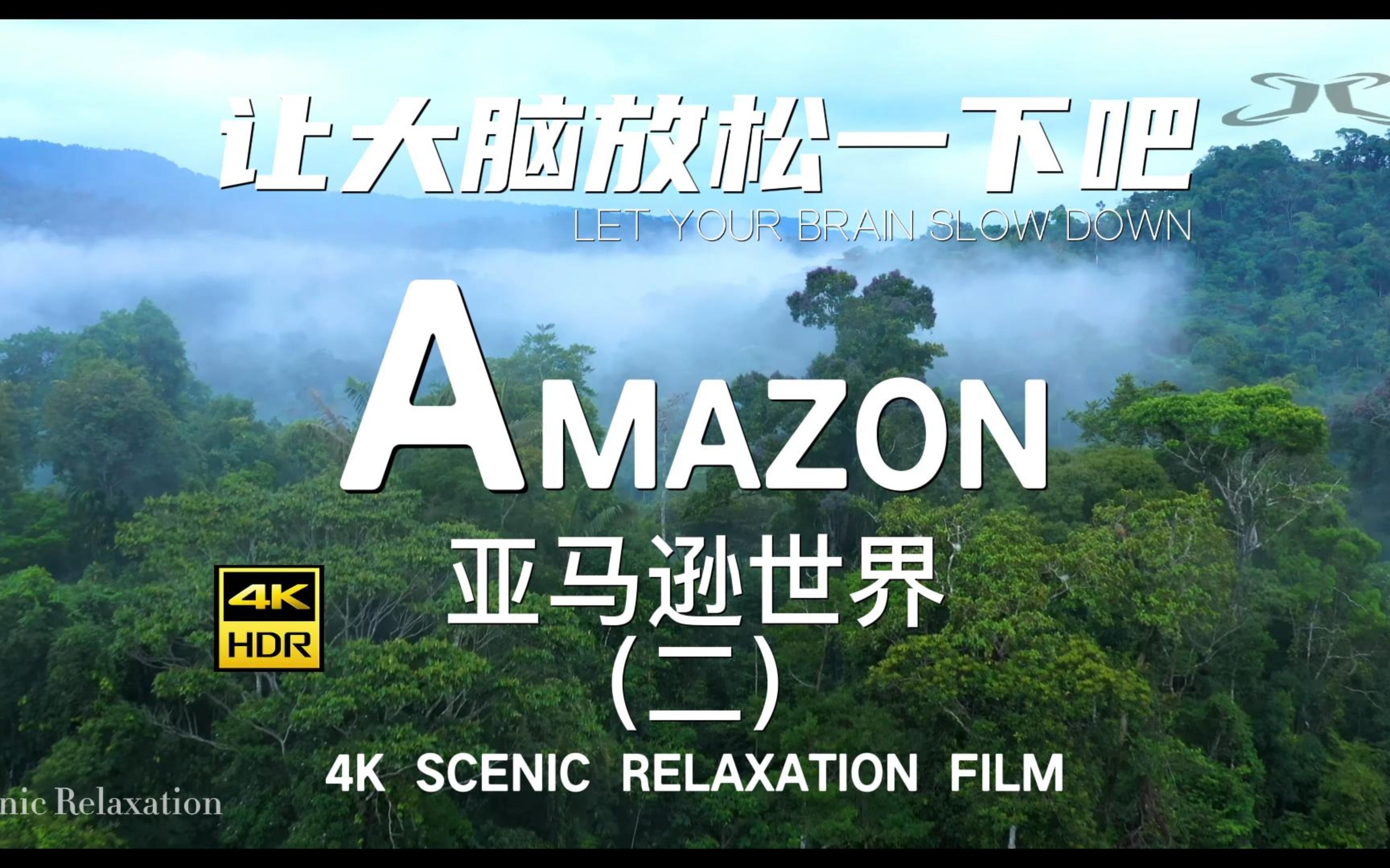 4K亚马逊雨林自然放松解压助眠航拍亚马逊第二集