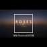 Roses－The Chainsmokers ft. Rozes中英字幕