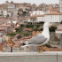旅游系列252-葡萄牙2：从里斯本到波尔图~~~Lisbon & Porto
