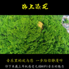 224无损音乐发烧hifi试音极品锦上添花纯音乐国乐发烧hi