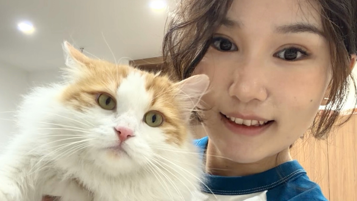 一群非常棘手的猫···