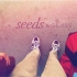 用Google眼镜拍的感人短片《种子》（Seeds）