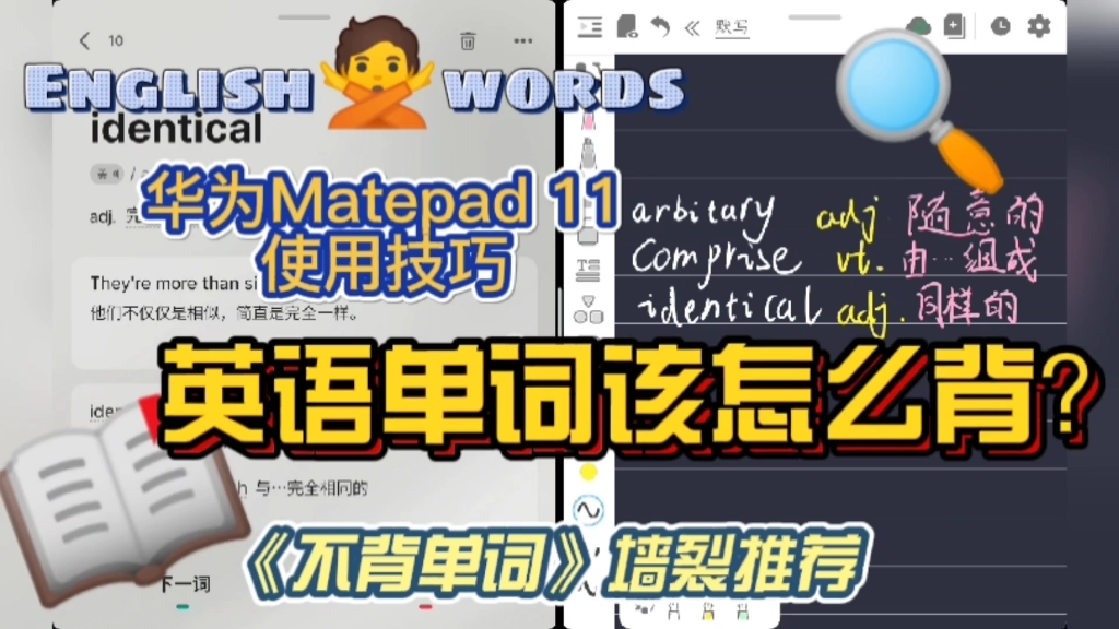 【不背单词】平板学习必备/华为matepad11使用体验/让英语单词学习更简单