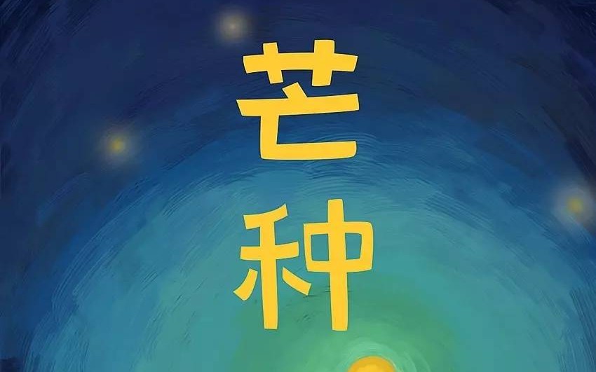 芒种原唱赵方婧翻唱洛尘如果大家能喜欢就好了