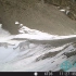 相机君的见证 | 铁打的山脊要道，流水的野生动物 —— 雪地上的生物多样性！