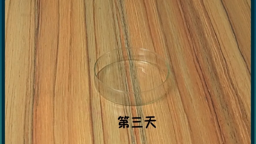 1.水到哪里去了 冀人版科学五年级下册