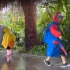 下雨天，带给孩子们的快乐无与伦比。在雨里尽情的玩耍，尽情的释放。是大自然给孩子天然的玩乐场所#道自然