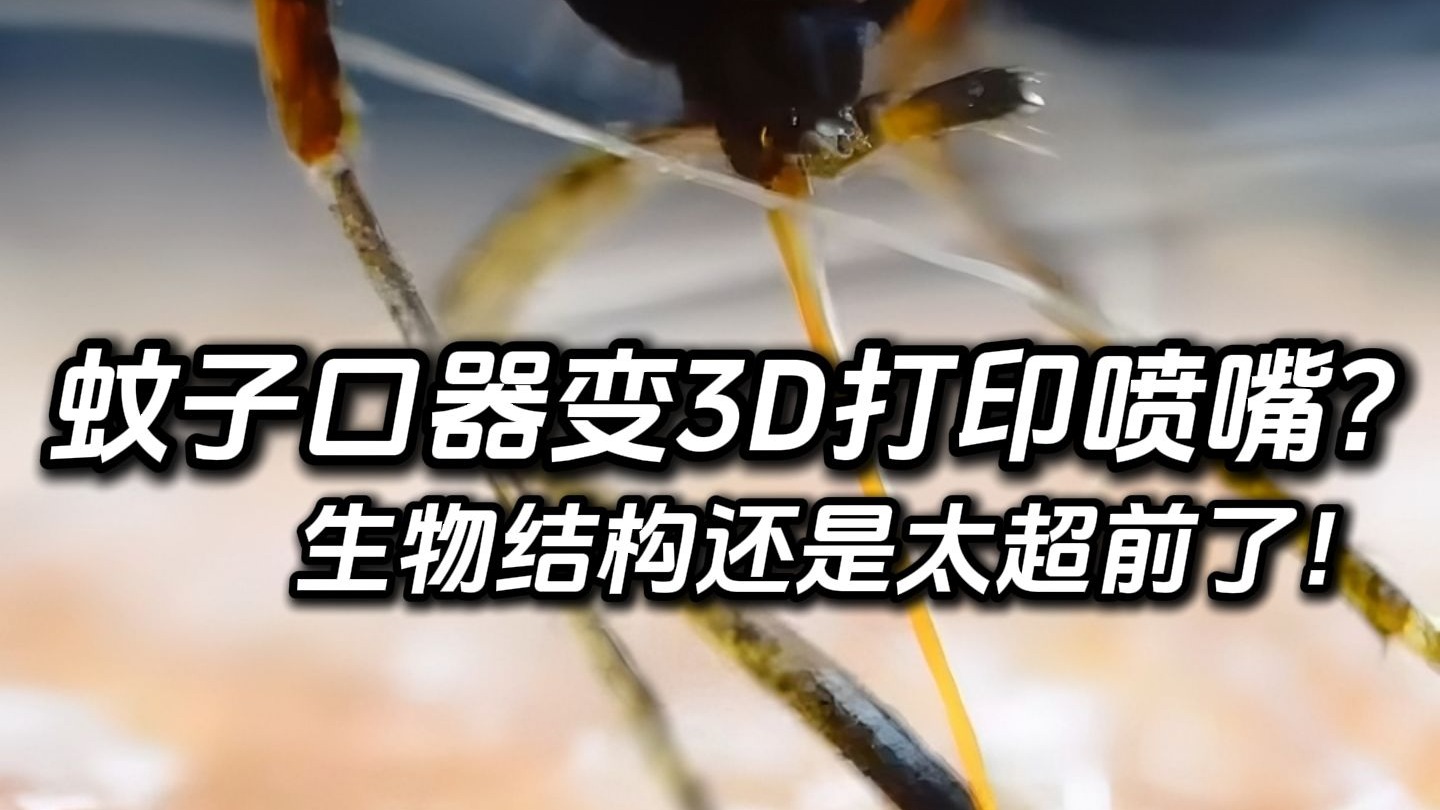 蚊子口器变3D打印喷嘴，生物结构还是太超前了