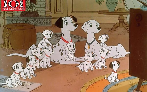 最新视频列表 - 哔哩哔哩 (゜-゜)つロ 干杯~-bil