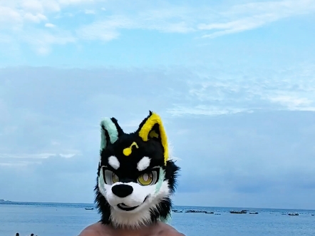 跟我走！带你下海