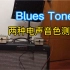 两种电声口琴音色测试 Blues Tone
