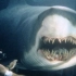 智慧食人鲨鱼和人类的博弈！五分钟看完惊悚灾难片《深海狂鲨》