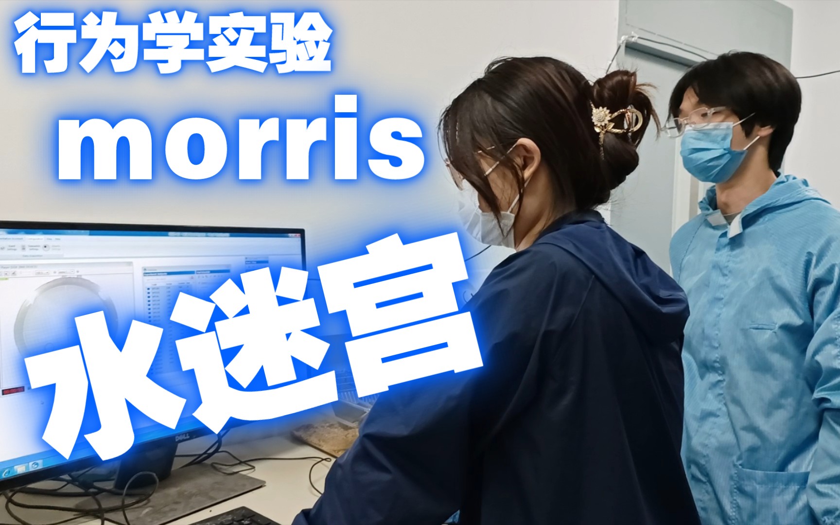 【实验室日常】老鼠做得好导师当院士！｜morris水迷宫 | 小鼠行为学实验