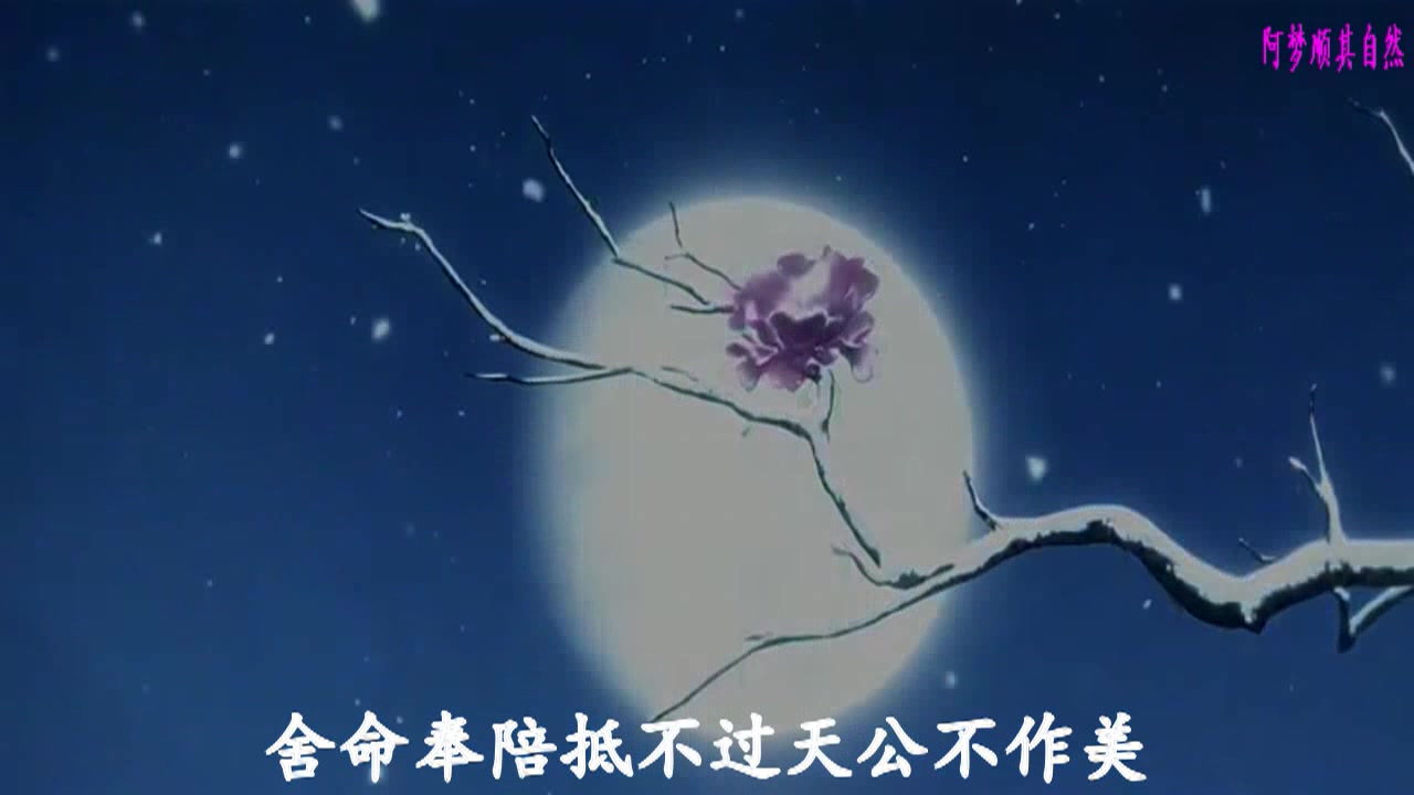 蒋雪儿 - 燕无歇