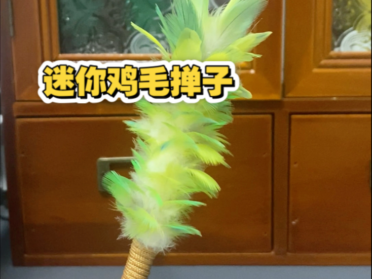 鹦鹉掉毛不要扔，留着做鸡毛掸子
