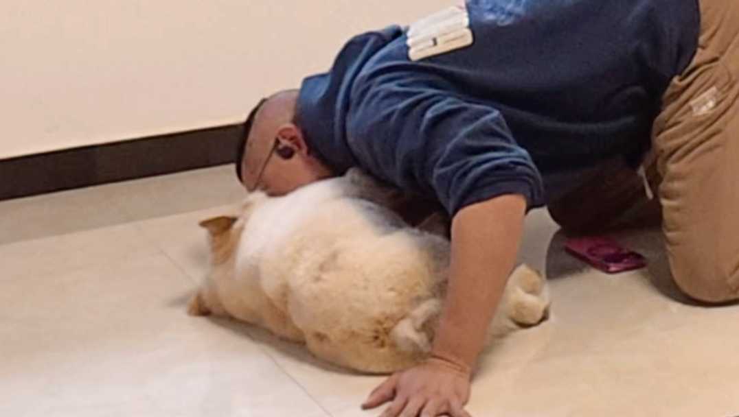 别说，阿祖还挺喜欢听歌