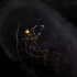 【太阳系在银河系的运动轨迹模型2.0版本】binoastro.com