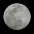 【P30 PRO】昨天的月亮稍微有点圆