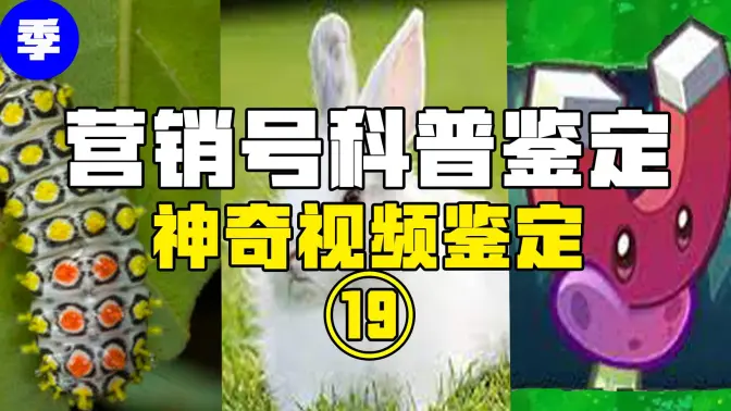 【鉴定热门】兔子不会叫是因为没有声带？真有植物会像磁力菇一样喜欢吸金属？