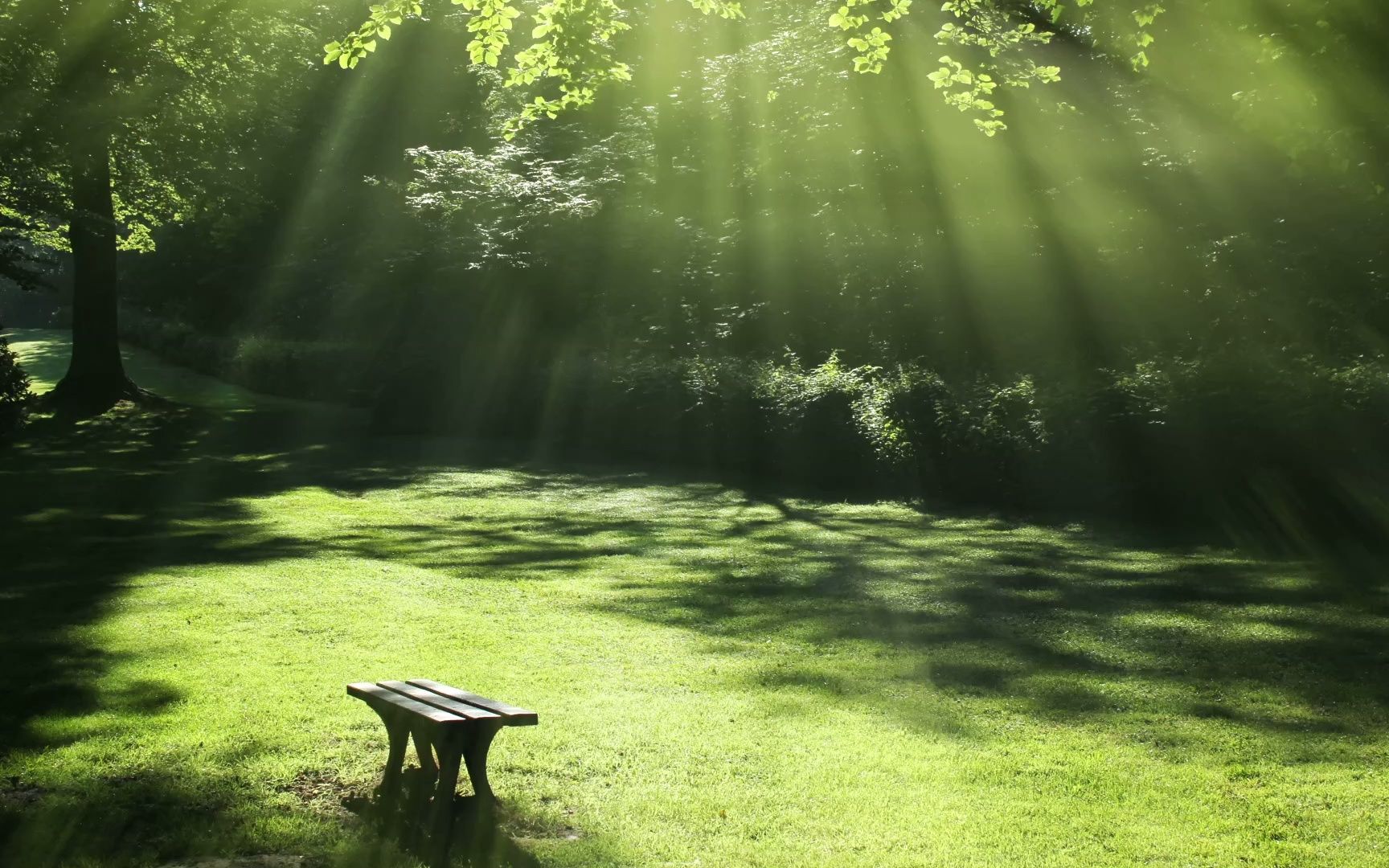 空镜头视频素材 公园阳光夏季恬静 素材分享
