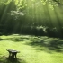 空镜头视频素材 公园阳光夏季恬静 素材分享