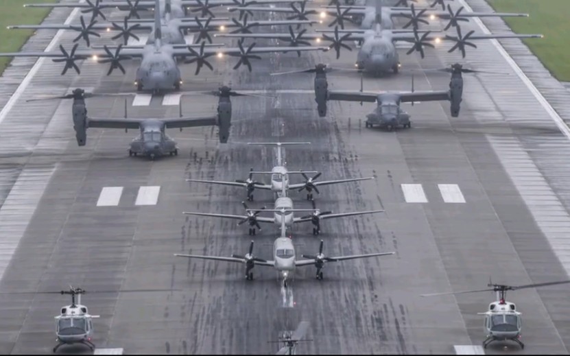 美国空军战机展示大象漫步