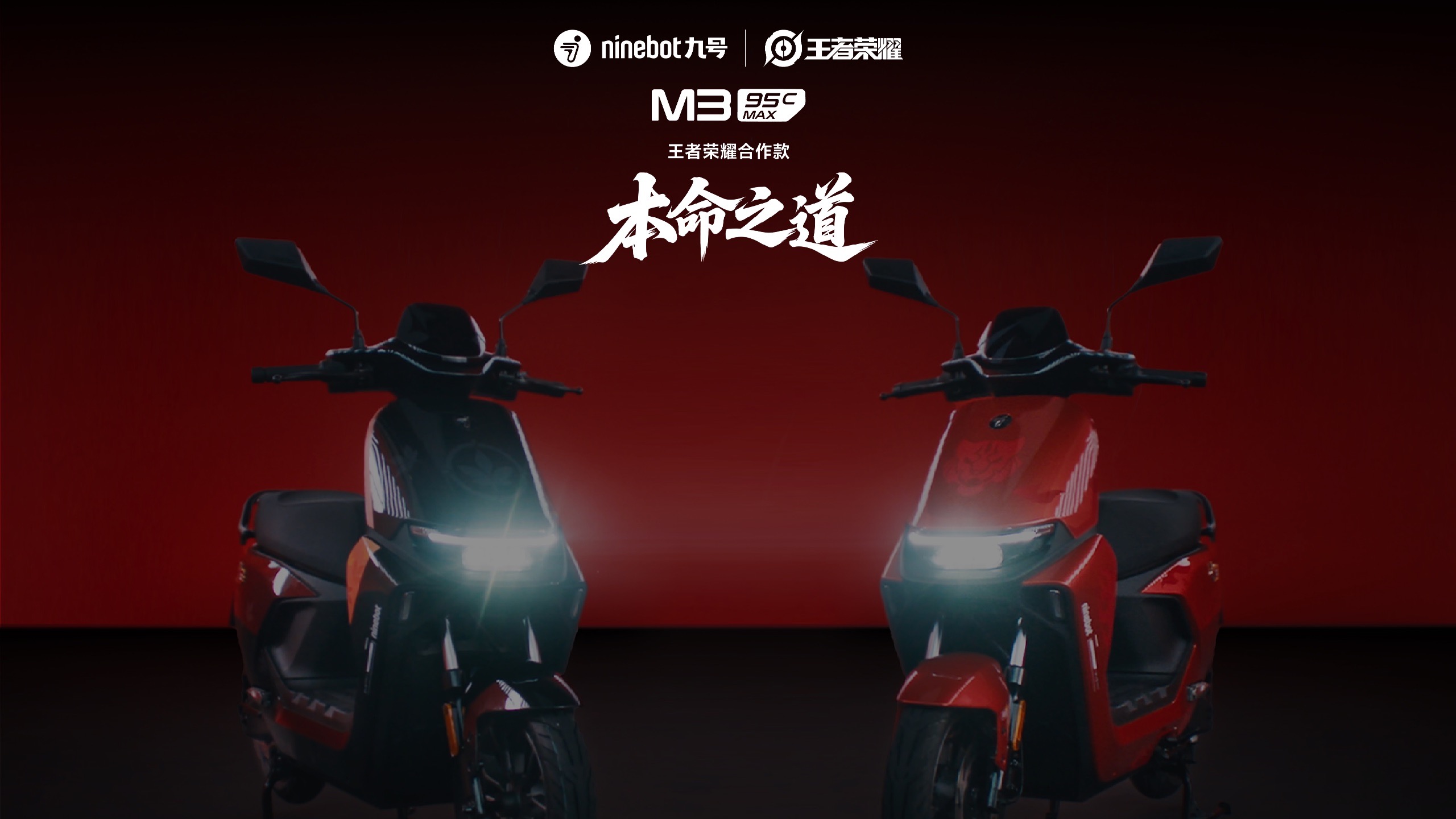 「本命之道」开启！