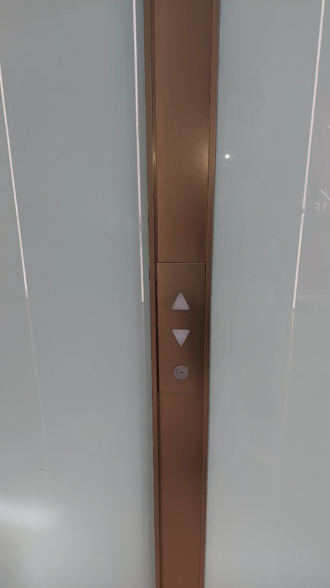厦门集美软件园金融中心B15栋三菱maxiez-CZ电梯一楼外呼翻新改造的周围的环境