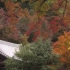 83. [4K] 三室戸寺　京都の紅葉　京都の庭園　Mimuroto-ji Temple Autumn leaves T